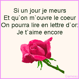 vous etes tou grave dans mon coeur a tout jamais
