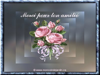 amitié